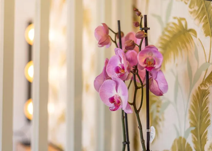 Urban Luxe Torremoilinos